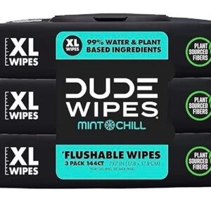 Dude wipes mint chill flushable wipes  3 pack (144 count)